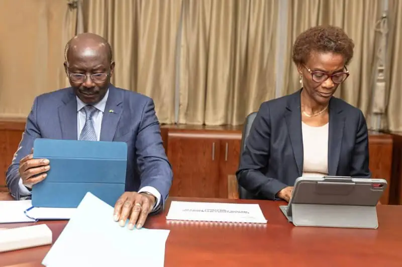 Gabon-FMI
