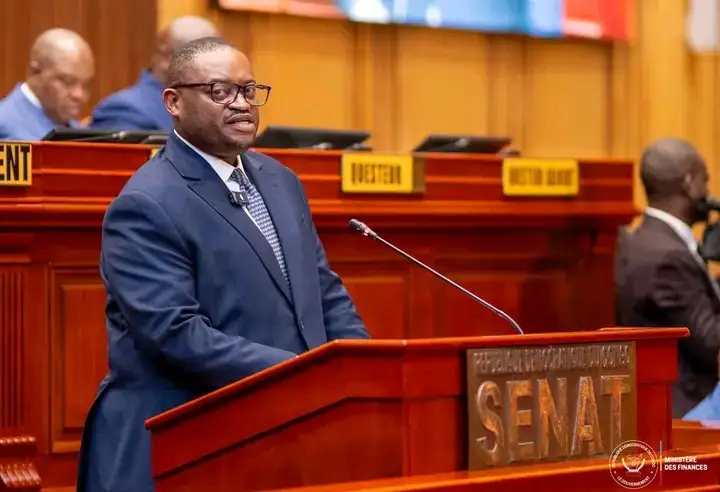 Le ministre des Finances, Doudou Fwamba Likunde Li-Botayi