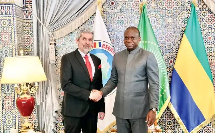 Centrale électrique d’Owendo: le Gabon en négociation avec Africa50, Melec Power Gen et Wärtsilä